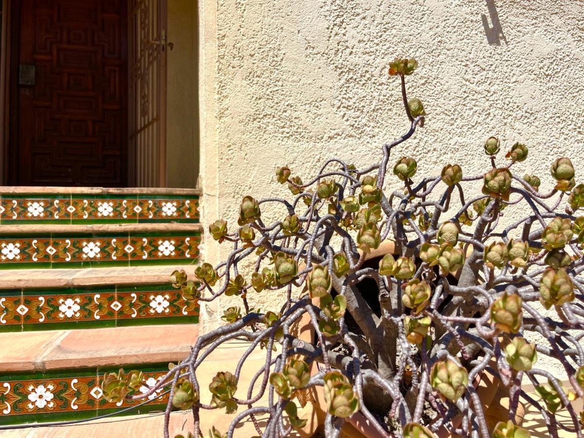 Villa De Estilo Espanol Con Jardin Y Piscina Altea Exterior photo